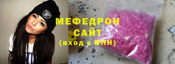 индика Богородск