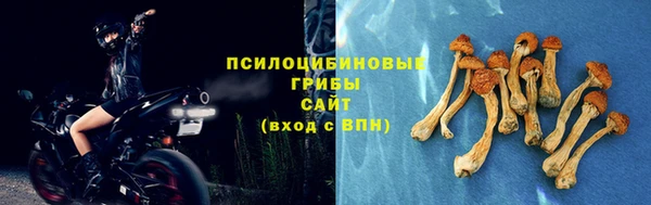 индика Богородск