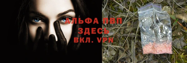 индика Богородск