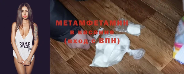 индика Богородск