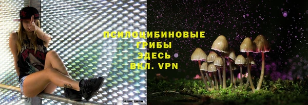 индика Богородск