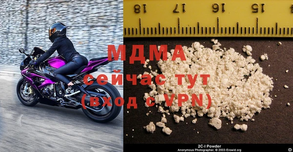 индика Богородск
