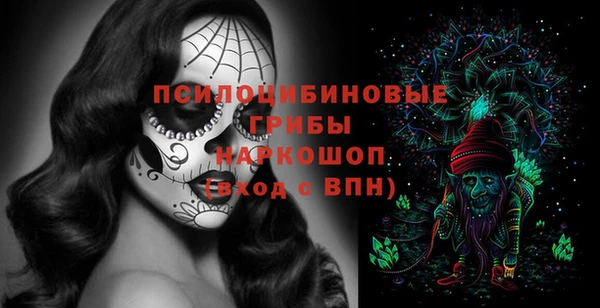 твердый Богородицк