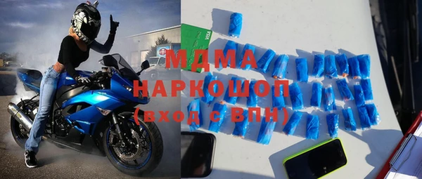 индика Богородск