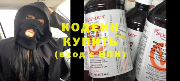 индика Богородск